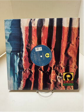 Vybe: Warm Summer Daze 12” single Vinyl Record (1995, Island Records)